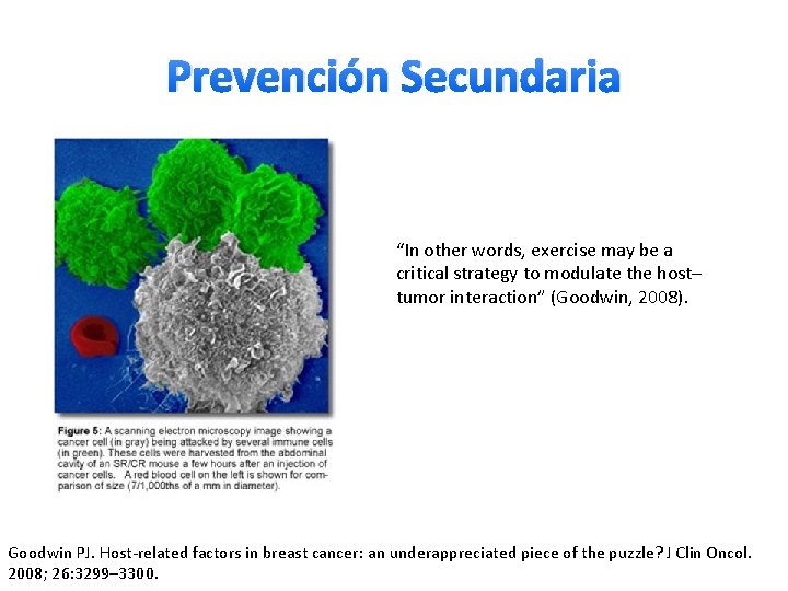 Prevención Secundaria “In other words, exercise may be a critical strategy to modulate the