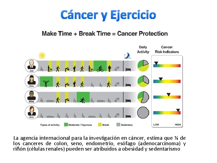 Cáncer y Ejercicio La agencia internacional para la investigación en cáncer, estima que ⅓