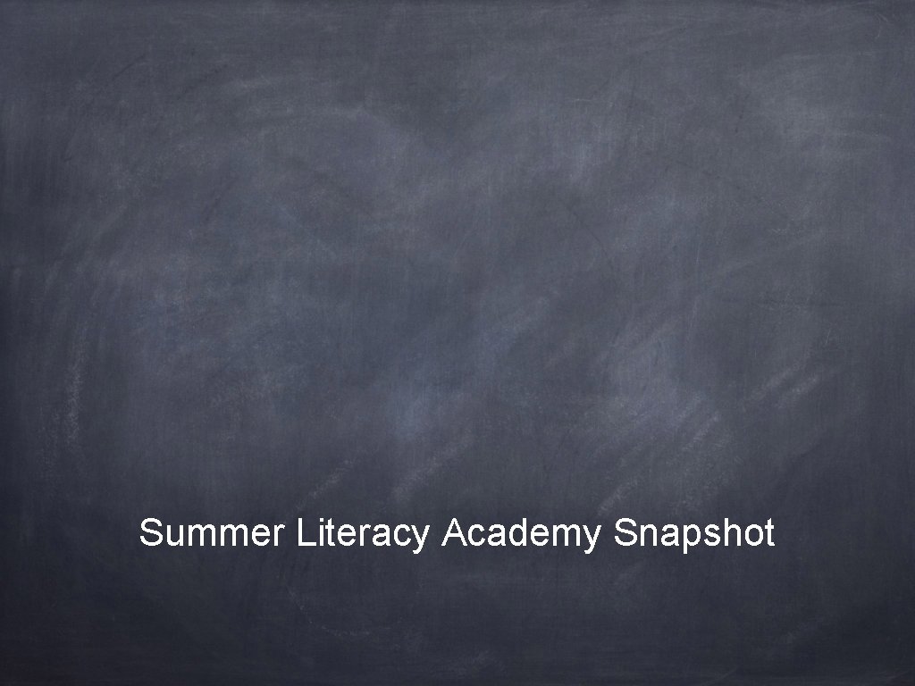 Summer Literacy Academy Snapshot 