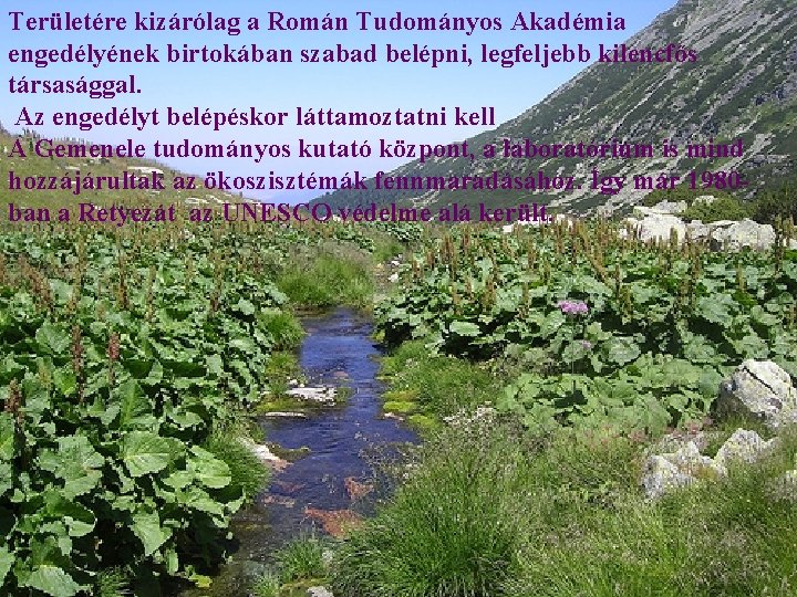 Területére kizárólag a Román Tudományos Akadémia engedélyének birtokában szabad belépni, legfeljebb kilencfős társasággal. Az