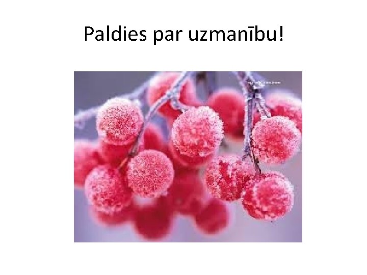 Paldies par uzmanību! 