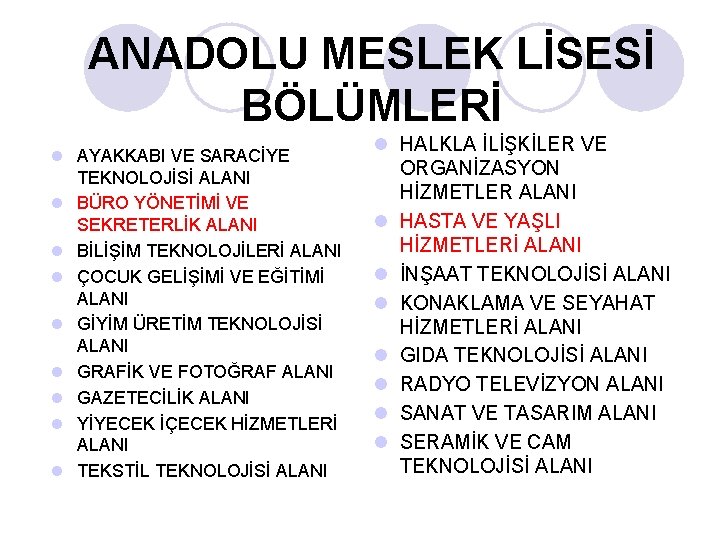 ANADOLU MESLEK LİSESİ BÖLÜMLERİ l AYAKKABI VE SARACİYE TEKNOLOJİSİ ALANI l BÜRO YÖNETİMİ VE