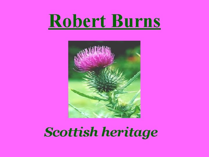 Robert Burns Scottish heritage 