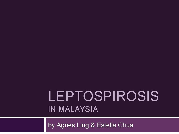 LEPTOSPIROSIS IN MALAYSIA by Agnes Ling & Estella Chua 