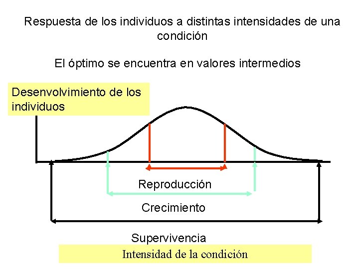 Respuesta de los individuos a distintas intensidades de una condición El óptimo se encuentra Respuesta de los individuos a distintas intensidades de una condición El óptimo se encuentra