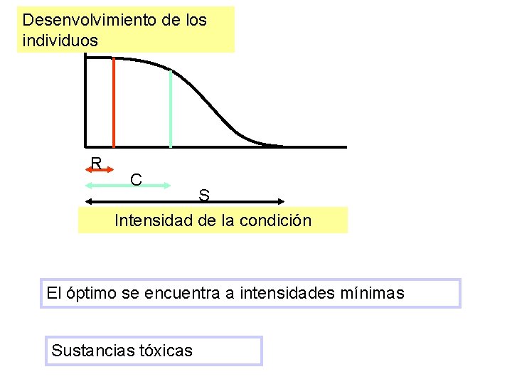 Desenvolvimiento de los individuos R C S Intensidad de la condición El óptimo se Desenvolvimiento de los individuos R C S Intensidad de la condición El óptimo se
