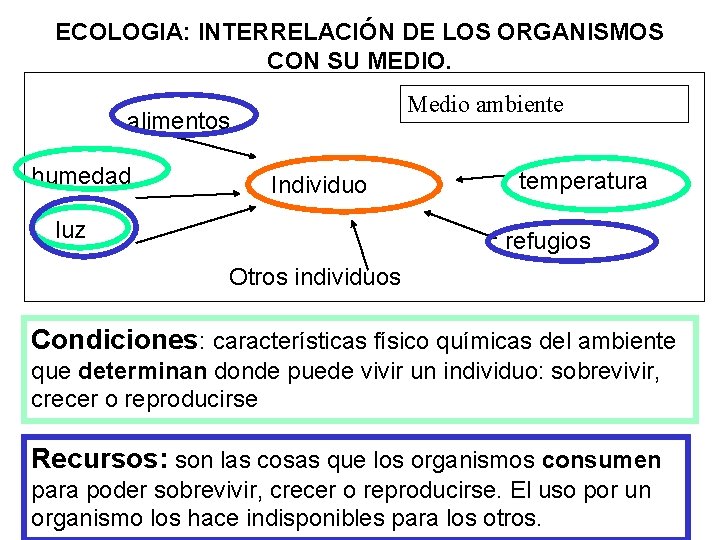 ECOLOGIA: INTERRELACIÓN DE LOS ORGANISMOS CON SU MEDIO. Medio ambiente alimentos humedad Individuo luz ECOLOGIA: INTERRELACIÓN DE LOS ORGANISMOS CON SU MEDIO. Medio ambiente alimentos humedad Individuo luz