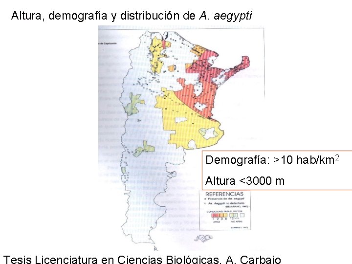Altura, demografía y distribución de A. aegypti Demografía: >10 hab/km 2 Altura <3000 m Altura, demografía y distribución de A. aegypti Demografía: >10 hab/km 2 Altura <3000 m