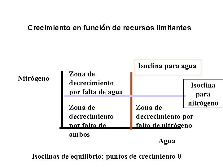 Crecimiento en función de recursos limitantes Isoclina para agua Nitrógeno Zona de decrecimiento por Crecimiento en función de recursos limitantes Isoclina para agua Nitrógeno Zona de decrecimiento por