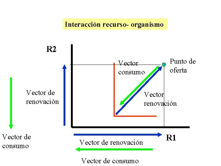 Interacción recurso- organismo R 2 Vector consumo Vector de renovación Vector de consumo Punto Interacción recurso- organismo R 2 Vector consumo Vector de renovación Vector de consumo Punto