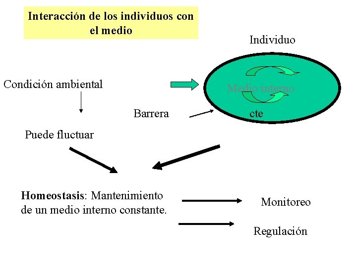 Interacción de los individuos con el medio Condición ambiental Individuo Medio interno Barrera cte Interacción de los individuos con el medio Condición ambiental Individuo Medio interno Barrera cte
