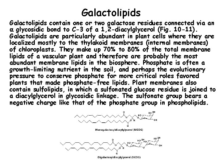 Galactolipids contain one or two galactose residues connected via an glycosidic bond to C-3