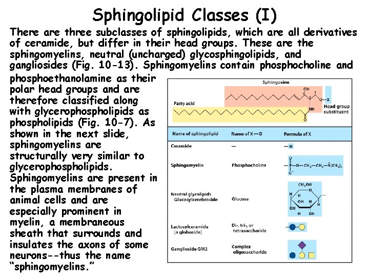 Sphingolipid Classes (I) There are three subclasses of sphingolipids, which are all derivatives of