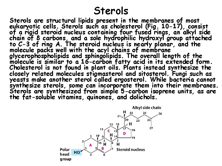 Sterols are structural lipids present in the membranes of most eukaryotic cells. Sterols such