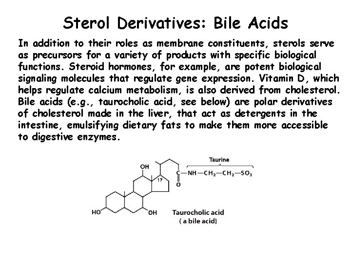 Sterol Derivatives: Bile Acids In addition to their roles as membrane constituents, sterols serve