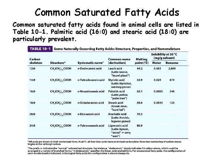 Common Saturated Fatty Acids Common saturated fatty acids found in animal cells are listed