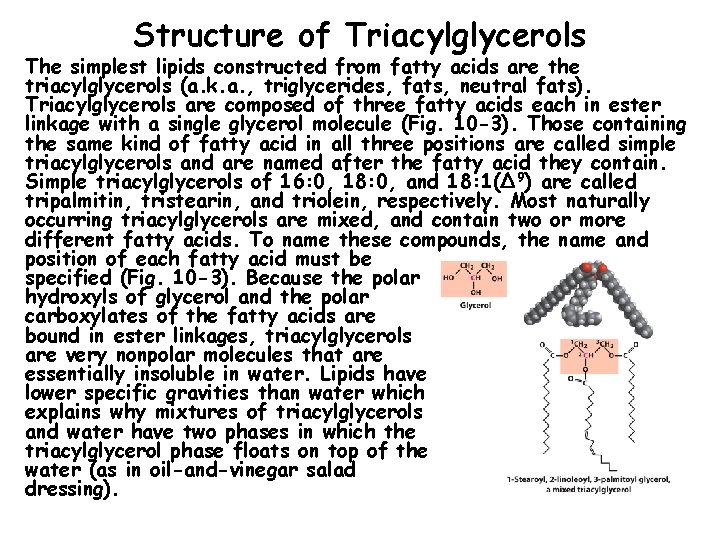 Structure of Triacylglycerols The simplest lipids constructed from fatty acids are the triacylglycerols (a.