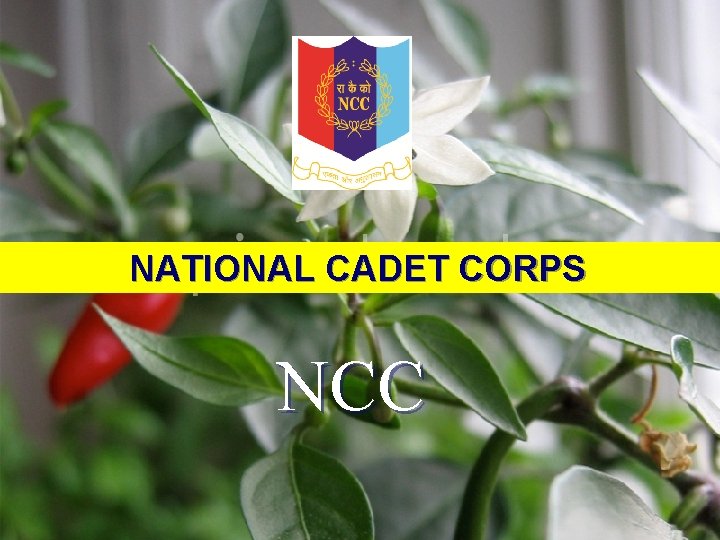 ERNAKULAM NCC GROUP NATIONAL CADET CORPS PRESENTS NCC 