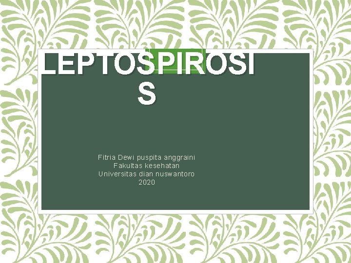 LEPTOSPIROSI S Fitria Dewi puspita anggraini Fakultas kesehatan Universitas dian nuswantoro 2020 