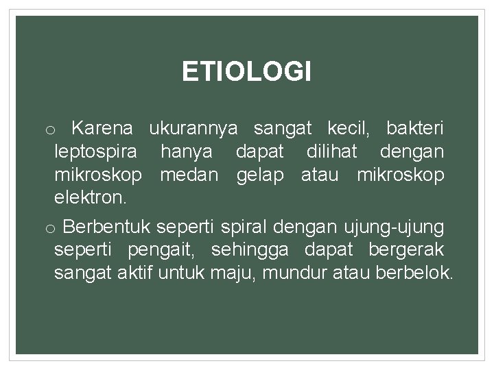 ETIOLOGI o Karena ukurannya sangat kecil, bakteri leptospira hanya dapat dilihat dengan mikroskop medan