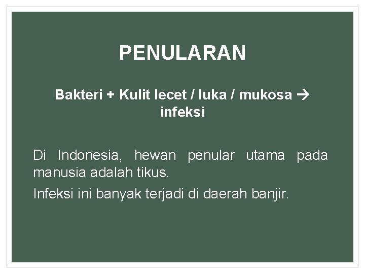 PENULARAN Bakteri + Kulit lecet / luka / mukosa infeksi Di Indonesia, hewan penular