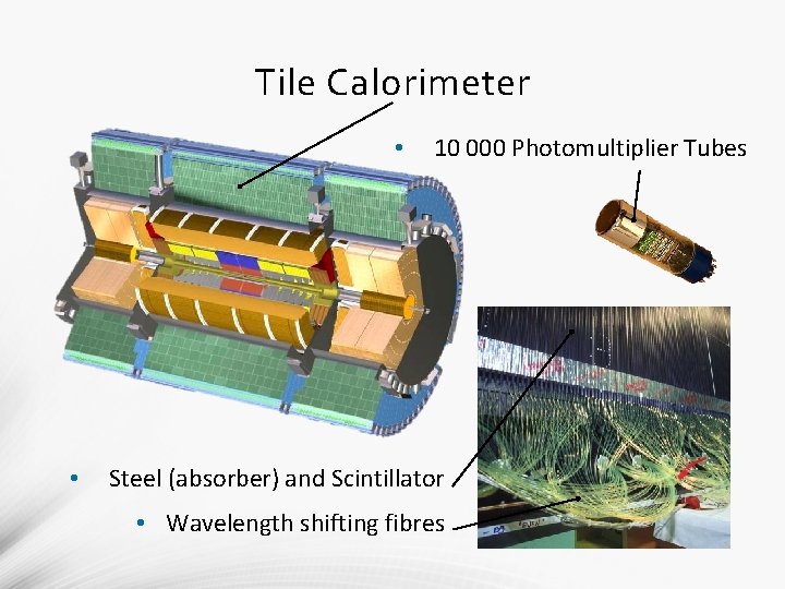 Tile Calorimeter • • 10 000 Photomultiplier Tubes Steel (absorber) and Scintillator • Wavelength Tile Calorimeter • • 10 000 Photomultiplier Tubes Steel (absorber) and Scintillator • Wavelength