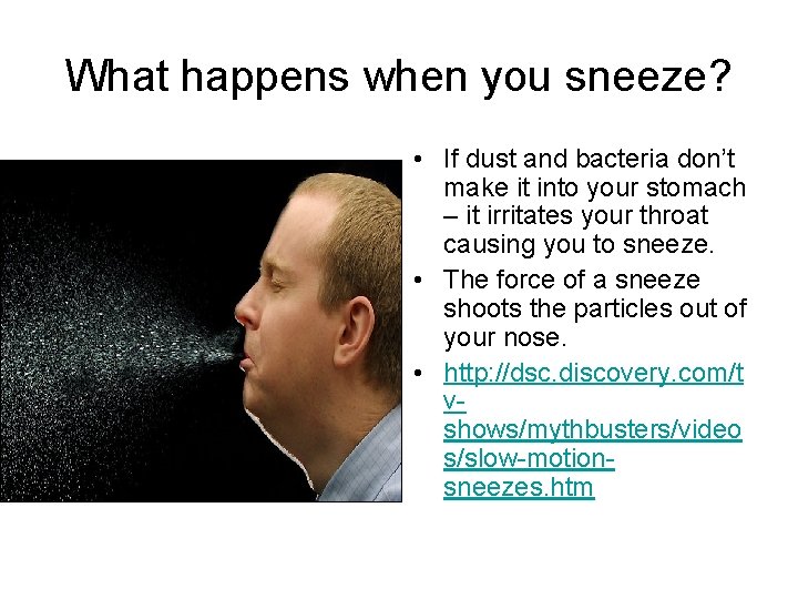 What happens when you sneeze? • If dust and bacteria don’t make it into