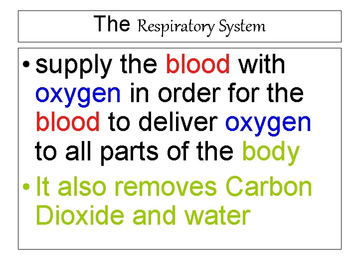 The Respiratory System • supply the blood with oxygen in order for the blood
