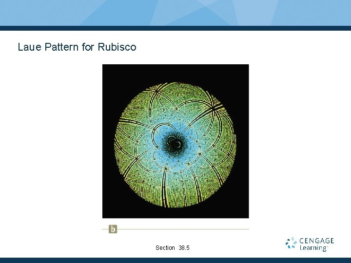 Laue Pattern for Rubisco Section 38. 5 