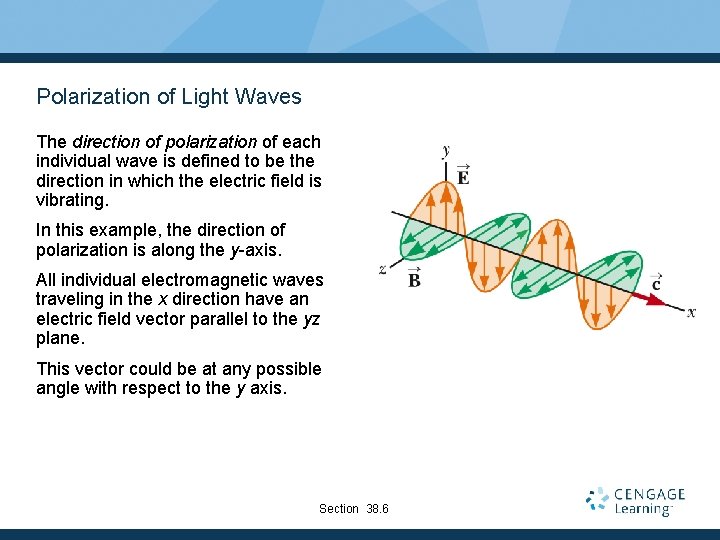 Polarization of Light Waves The direction of polarization of each individual wave is defined
