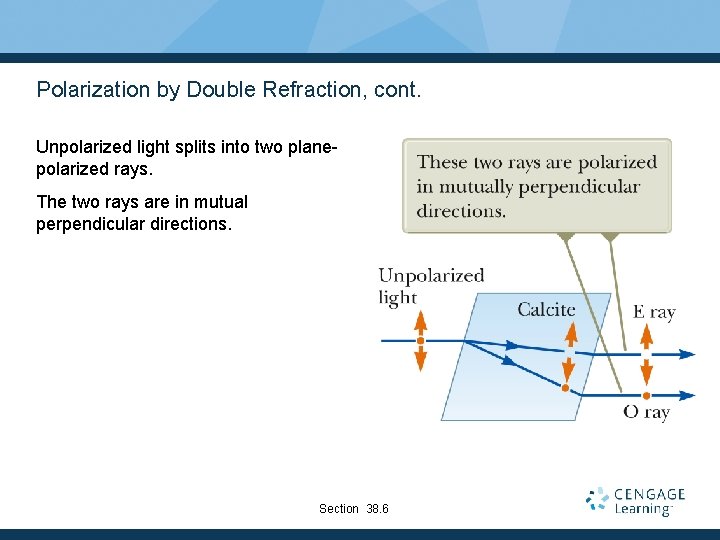 Polarization by Double Refraction, cont. Unpolarized light splits into two planepolarized rays. The two