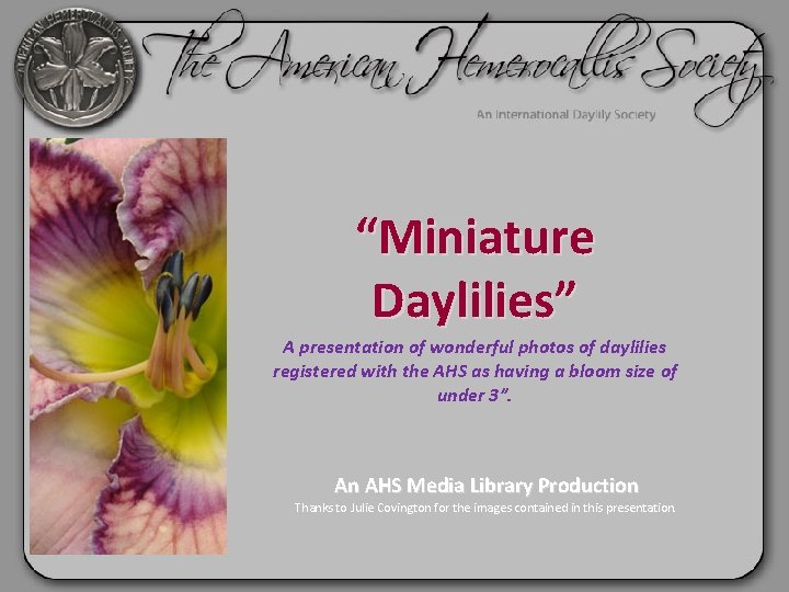 “Miniature Daylilies” A presentation of wonderful photos of daylilies registered with the AHS as