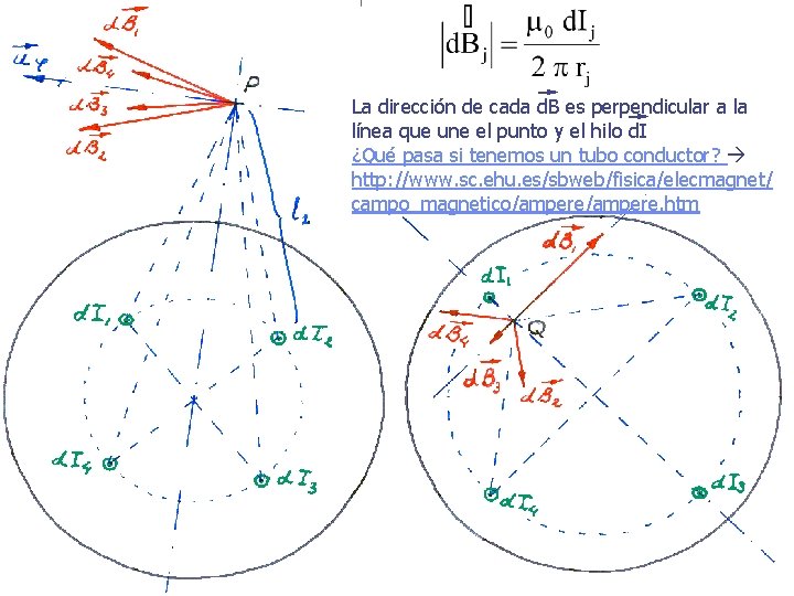 La dirección de cada d. B es perpendicular a la línea que une el