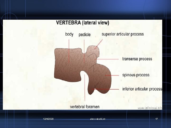 12/4/2020 alen vukelić, dr 17 