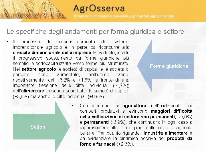 Le specifiche degli andamenti per forma giuridica e settore • Il processo di ridimensionamento