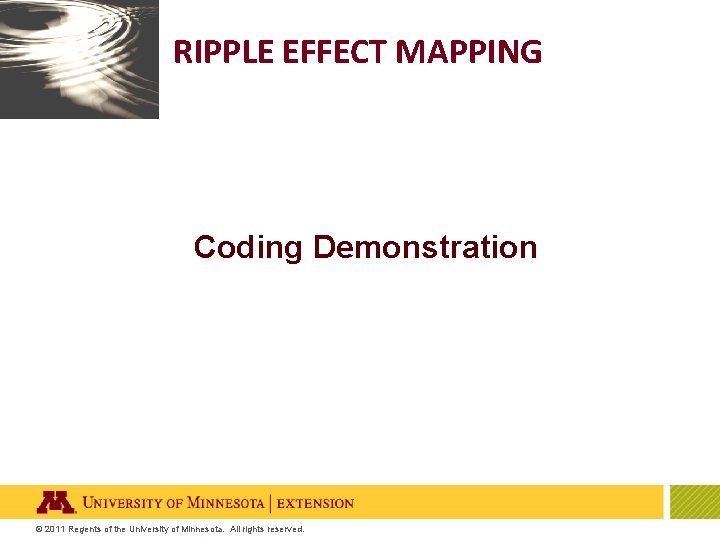 RIPPLE EFFECT MAPPING Coding Demonstration © 2011 Regents of the University of Minnesota. All