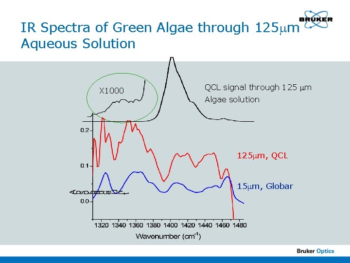 IR Spectra of Green Algae through 125 m Aqueous Solution X 1000 QCL signal