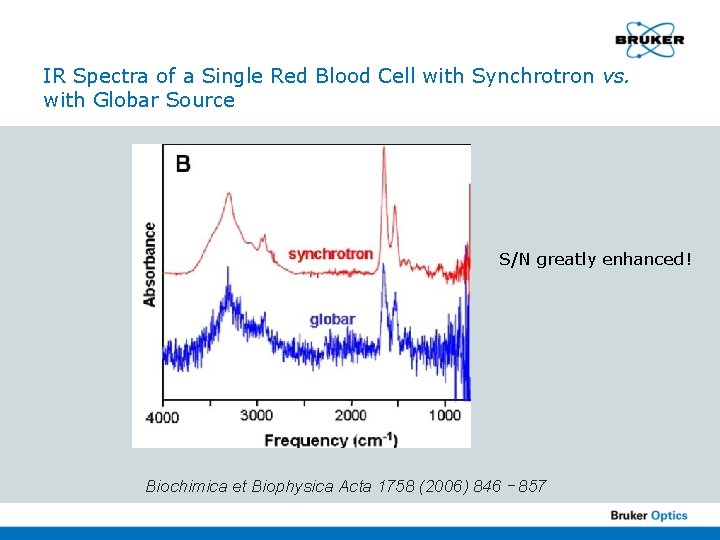 IR Spectra of a Single Red Blood Cell with Synchrotron vs. with Globar Source