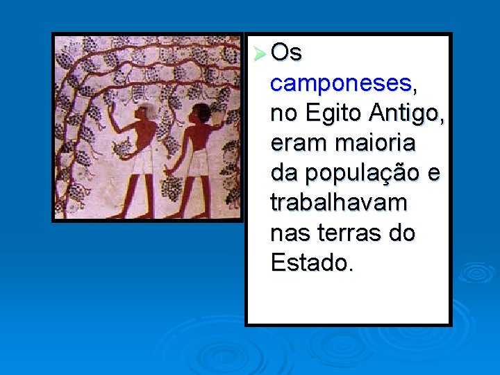 Ø Os camponeses, no Egito Antigo, eram maioria da população e trabalhavam nas terras