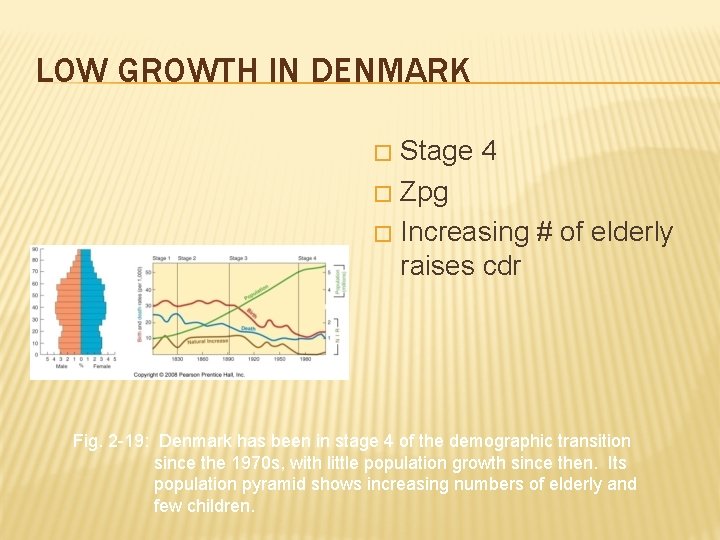 LOW GROWTH IN DENMARK Stage 4 � Zpg � Increasing # of elderly raises