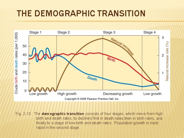 THE DEMOGRAPHIC TRANSITION Fig. 2 -13: The demographic transition consists of four stages, which