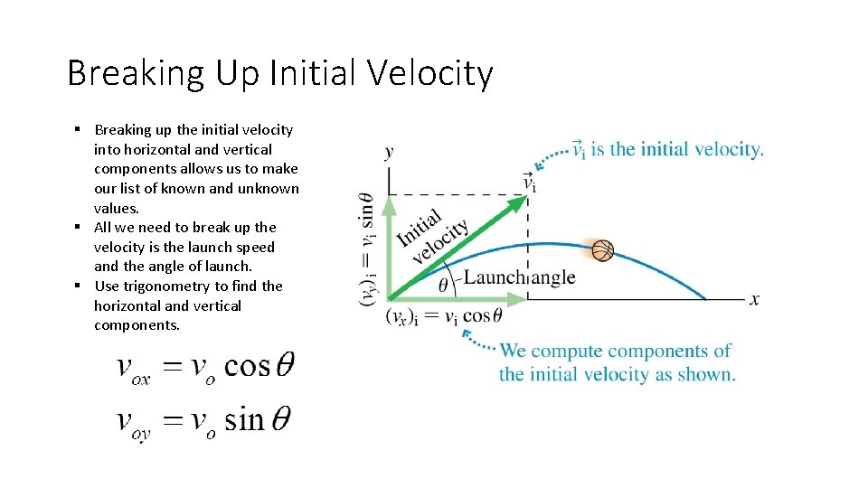 Breaking Up Initial Velocity § Breaking up the initial velocity into horizontal and vertical