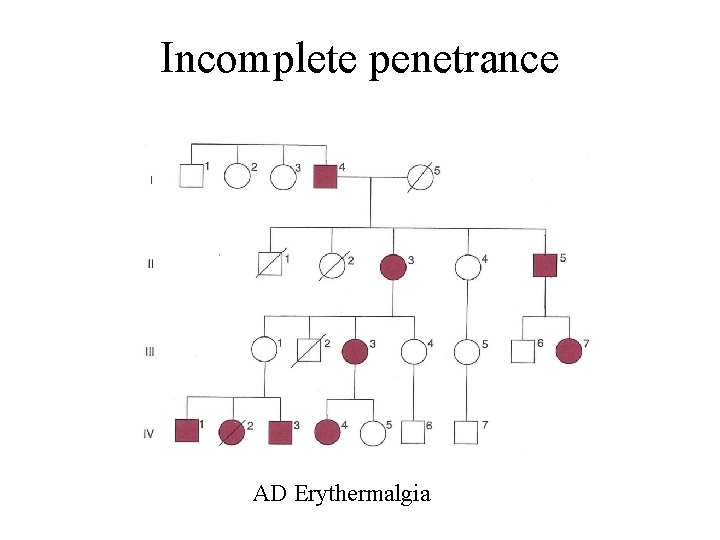 Incomplete penetrance AD Erythermalgia 