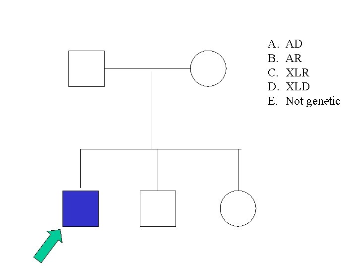 A. B. C. D. E. AD AR XLD Not genetic 