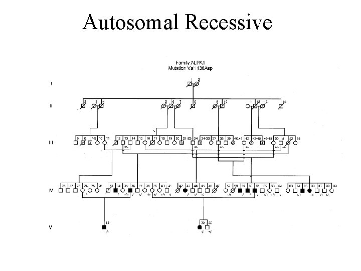 Autosomal Recessive 