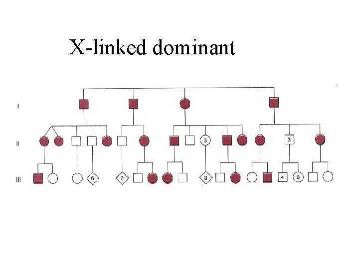 X-linked dominant 