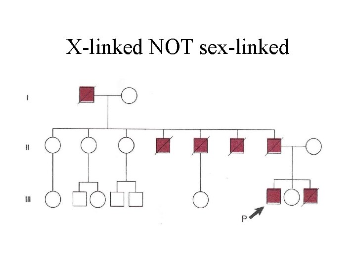 X-linked NOT sex-linked 