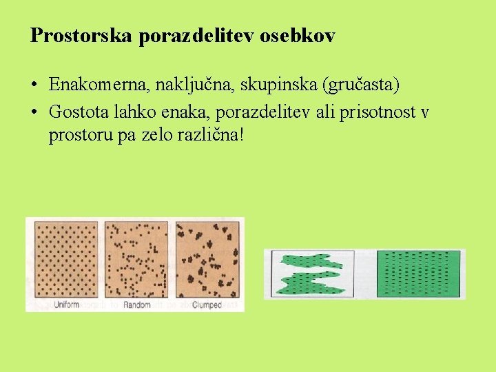 Prostorska porazdelitev osebkov • Enakomerna, naključna, skupinska (gručasta) • Gostota lahko enaka, porazdelitev ali