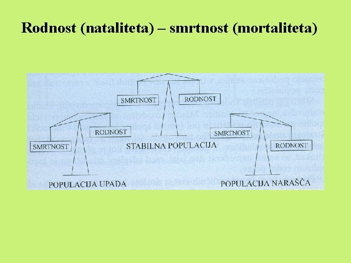 Rodnost (nataliteta) – smrtnost (mortaliteta) 