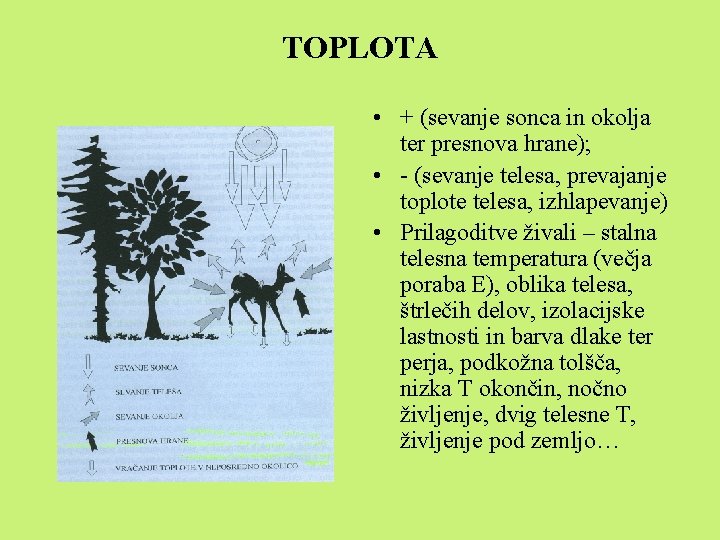 TOPLOTA • + (sevanje sonca in okolja ter presnova hrane); • - (sevanje telesa,